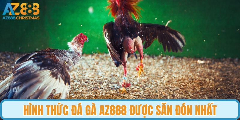 Hình thức đá gà AZ888 được săn đón nhất