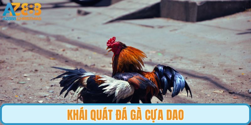 Khái quát đá gà cựa dao