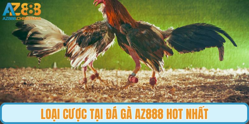 Loại cược tại đá gà AZ888 hot nhất