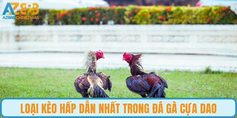 Loại kèo hấp dẫn nhất trong đá gà cựa dao