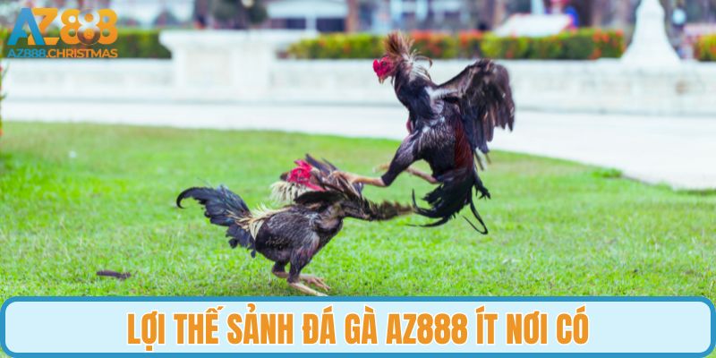 Lợi thế sảnh đá gà AZ888 ít nơi có