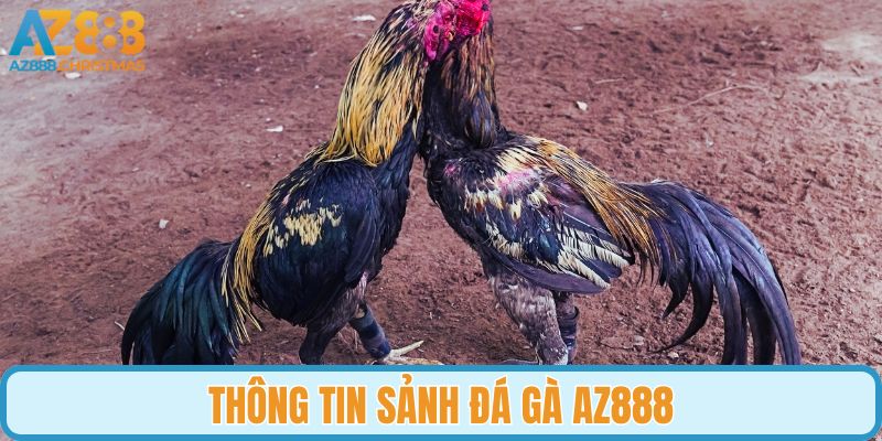 Thông tin sảnh đá gà AZ888